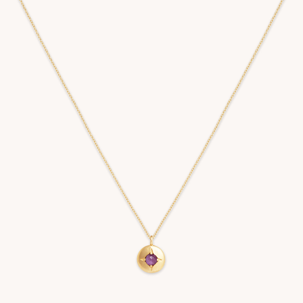 Birthstone Necklaces - February Amethyst Birthstone Necklace in Solid Gold - Pendant Necklace - Astrid & Miyu