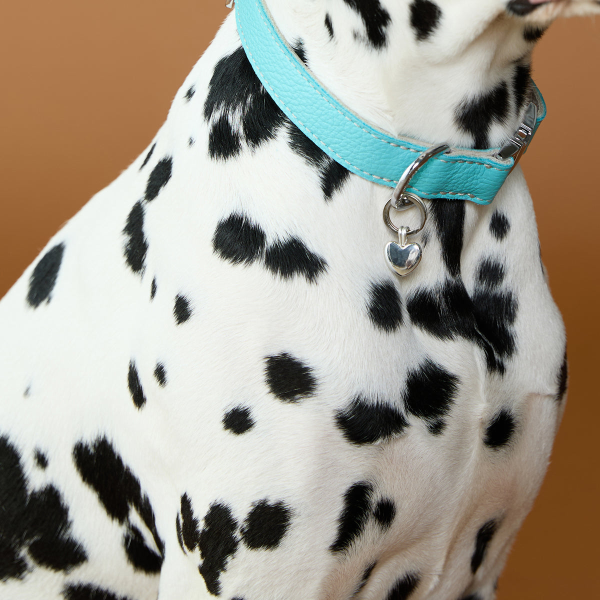Pet Tags - Heart Pet Tag in Silver - Merchandise - Astrid & Miyu