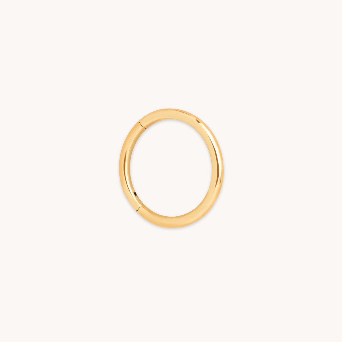 Titanium Seamless Hoop-Astrid & Miyu