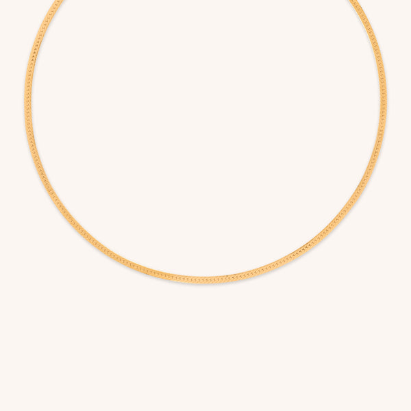 18k Gold Plated Jewellery - Essential Snake Chain Necklace in Gold - Chain Necklace - Astrid & Miyu