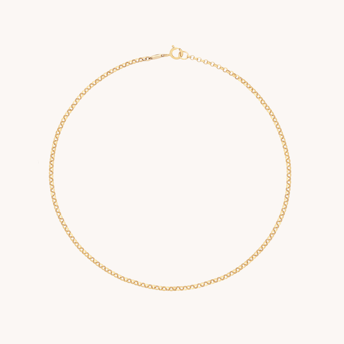 Chelsea Chain Anklet in Solid Gold-Astrid & Miyu