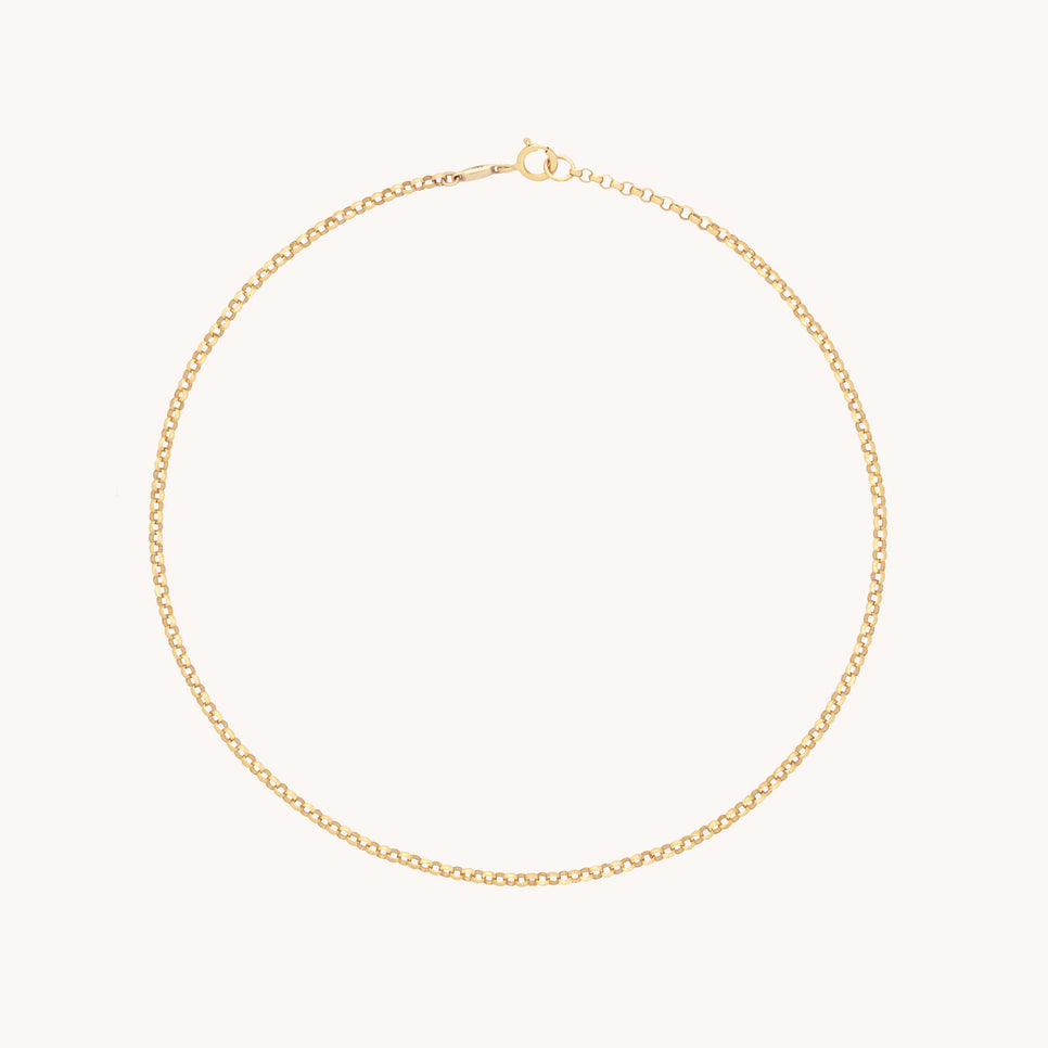 Chelsea Chain Anklet in Solid Gold-Astrid & Miyu