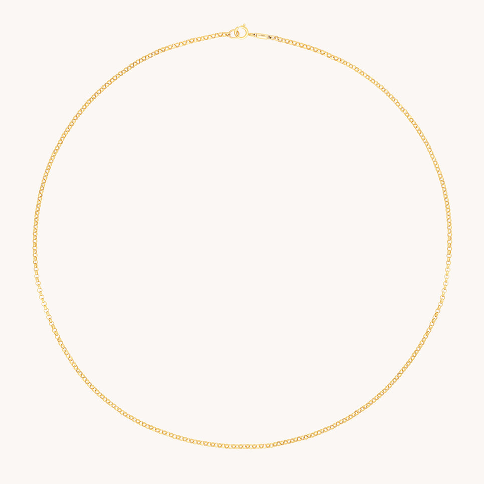 Chelsea Chain Necklace in Solid Gold-Astrid & Miyu