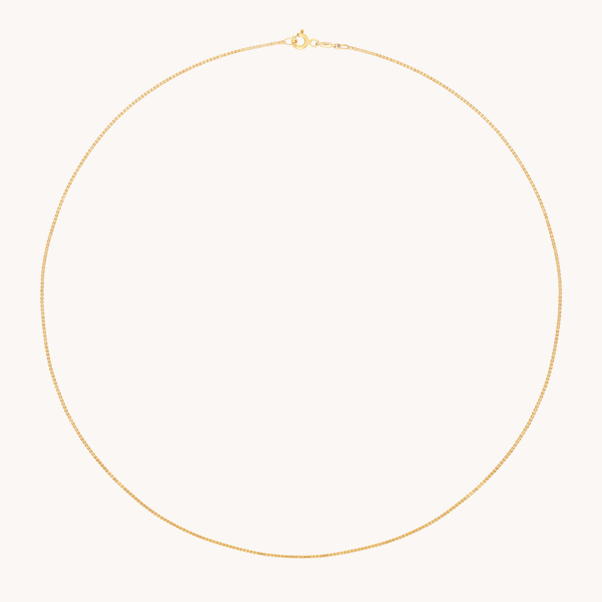 Shoreditch Chain Necklace in Solid Gold-Astrid & Miyu