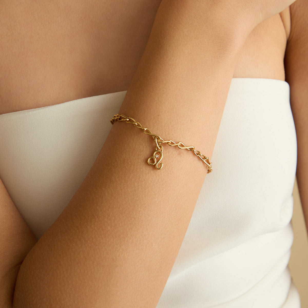 18k Gold Plated Jewellery - Leo Zodiac Talisman Charm in Gold - Talisman Charm - Astrid & Miyu