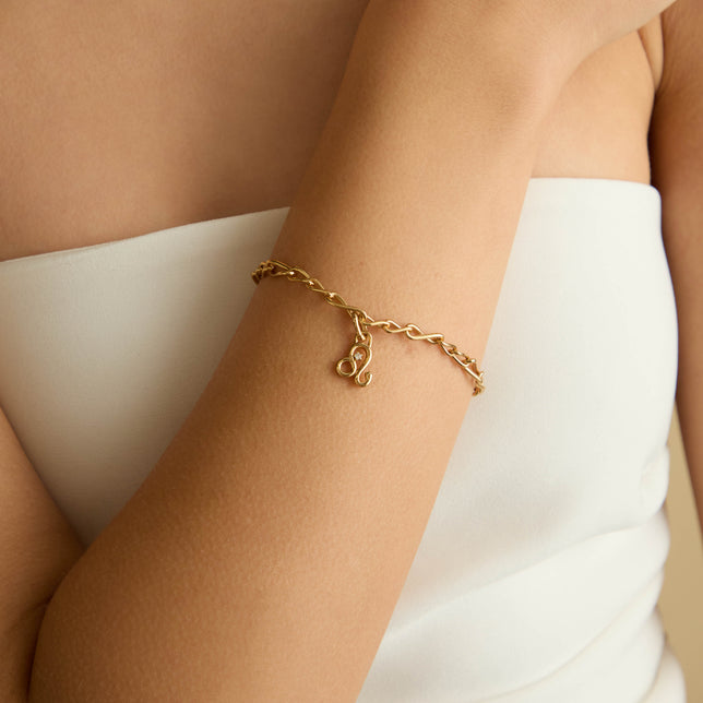 18k Gold Plated Jewellery - Leo Zodiac Talisman Charm in Gold - Talisman Charm - Astrid & Miyu