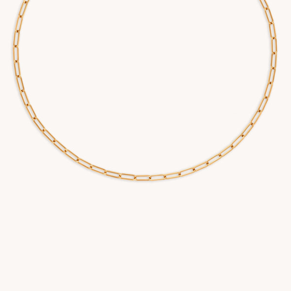 Bold Piccadilly Chain Necklace in Gold-Astrid & Miyu