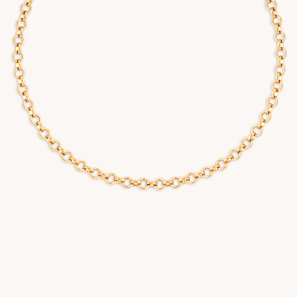 Bold Chelsea Chain Necklace in Gold-Astrid & Miyu