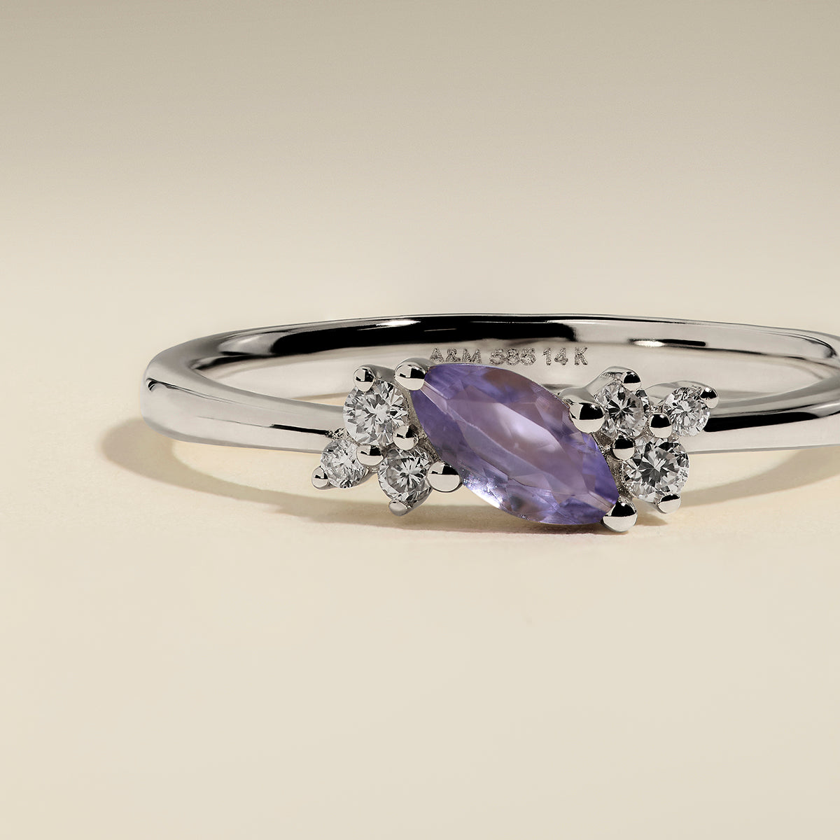 Tanzanite December Birthstone Milestone Ring in Solid White Gold-Astrid & Miyu