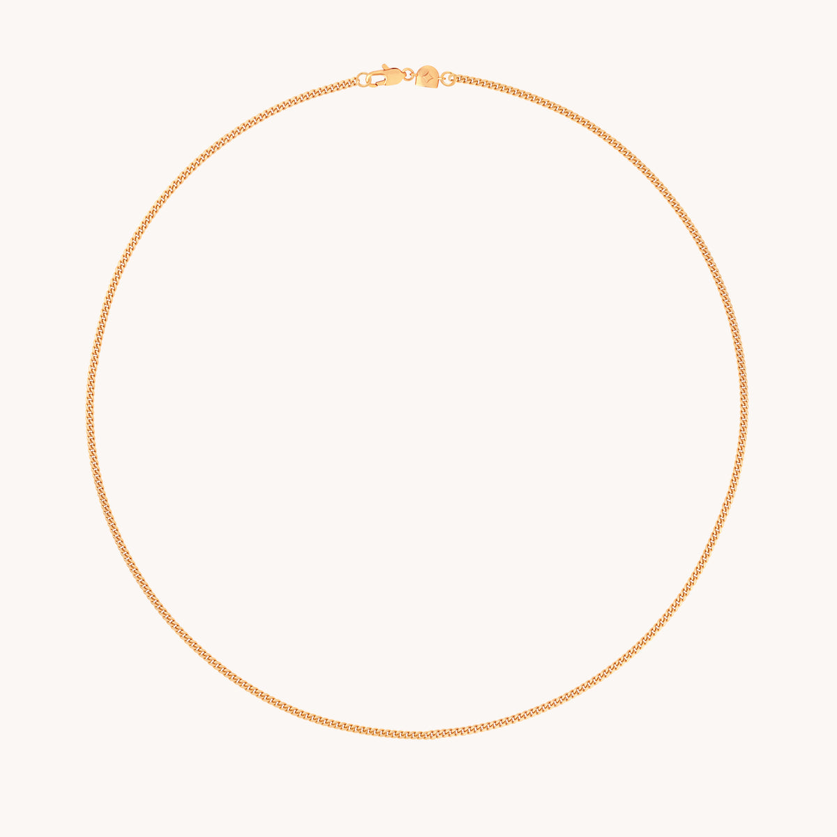 Essential Curb Chain Necklace in Gold-Astrid & Miyu