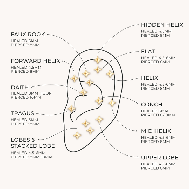 Ear_Diagram_9685f331-c9e5-4dc5-ba15-20239161f7f1-Astrid & Miyu