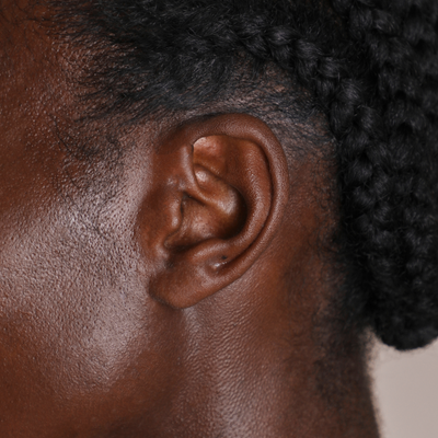 Ear_Visualiser_block_7_830602af-cb59-4c42-8938-f85f068f02d2-Astrid & Miyu