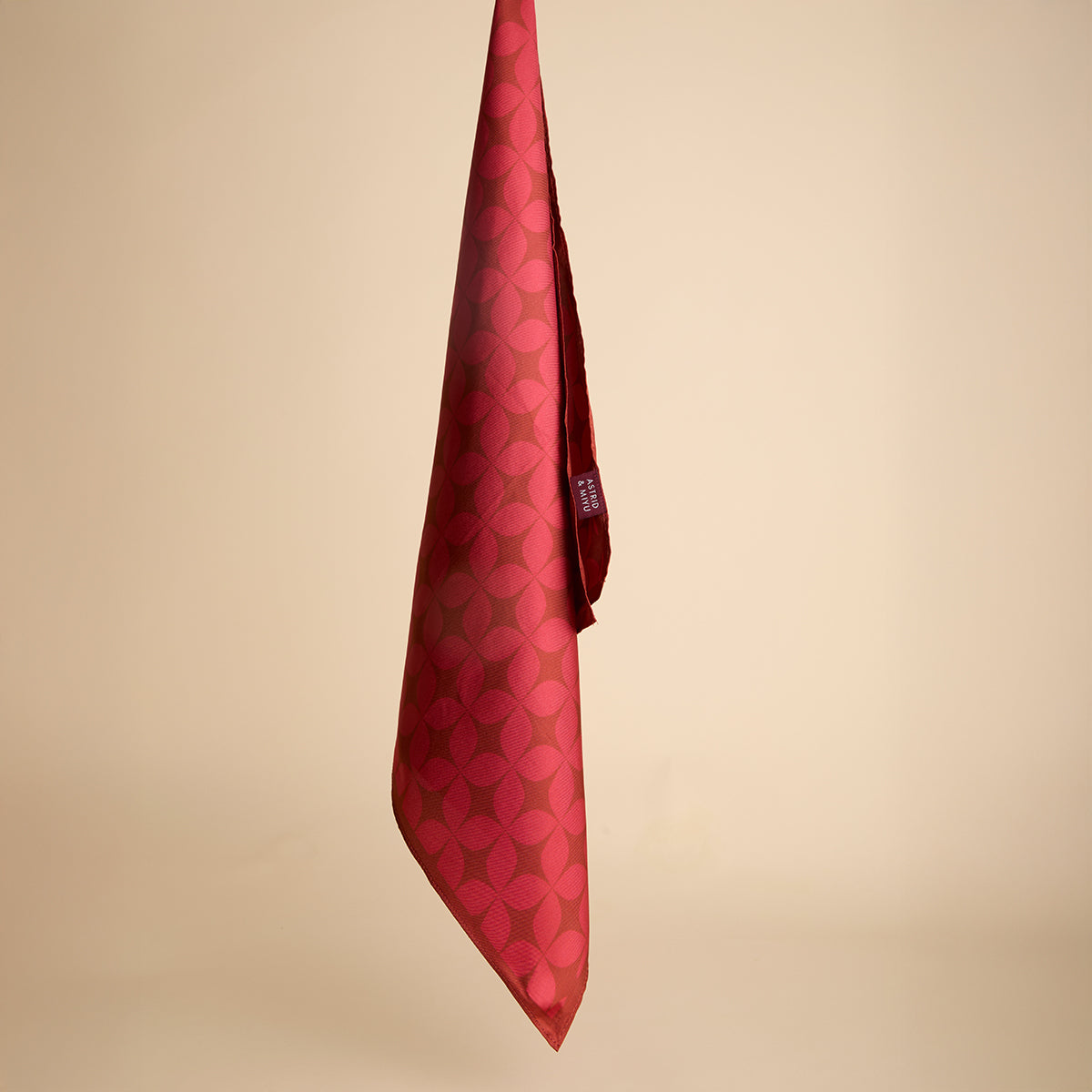 Silk Scarf in Red-Astrid & Miyu