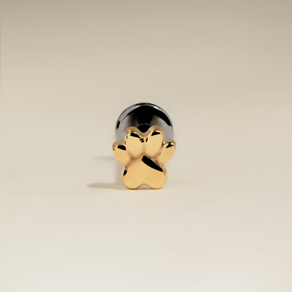 Paw Titanium Piercing Stud in Gold-Astrid & Miyu