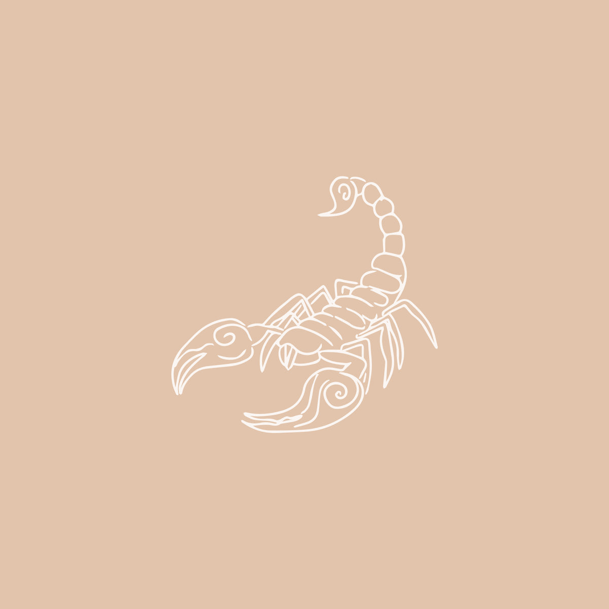 Scorpio Jewellery-Astrid &amp; Miyu