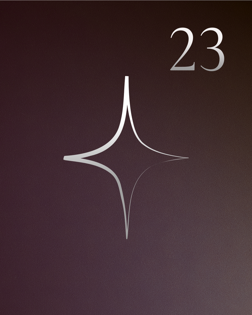 24-day-2025-door-_23_f6e6813c-b07d-4387-bd8a-49d42c9c4e67-Astrid &amp; Miyu