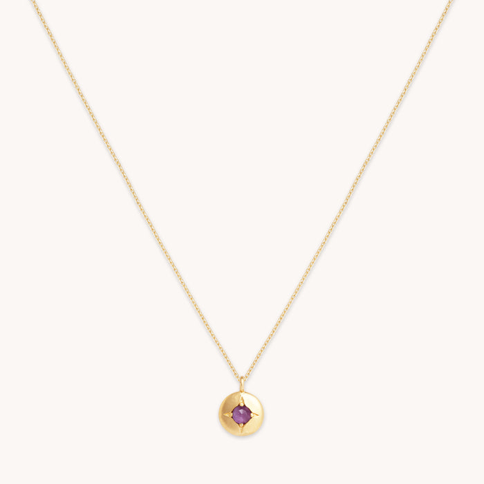 Birthstone Necklaces - February Amethyst Birthstone Necklace in Solid Gold - Pendant Necklace - Astrid &amp; Miyu