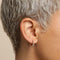 18k Gold Plated Jewellery - Essential Crystal Small Hoops in Gold - Hoop Earrings - Astrid &amp; Miyu