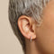 18k Gold Plated Jewellery - Essential Crystal Small Hoops in Gold - Hoop Earrings - Astrid &amp; Miyu