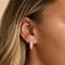 18k Gold Plated Jewellery - Aqua Chalcedony Carved Dome Hoops in Gold - Hoop Earrings - Astrid &amp; Miyu