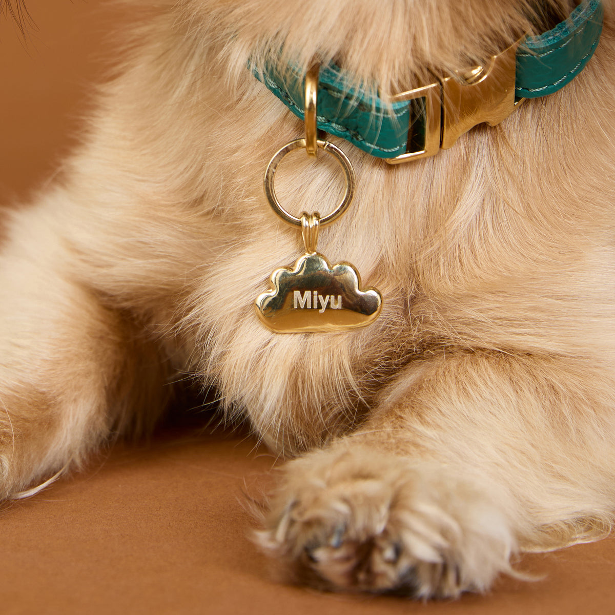 Pet Tags - Cloud Pet Tag in Gold - Merchandise - Astrid &amp; Miyu