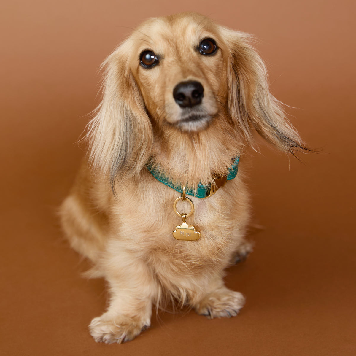 Pet Tags - Cloud Pet Tag in Gold - Merchandise - Astrid &amp; Miyu