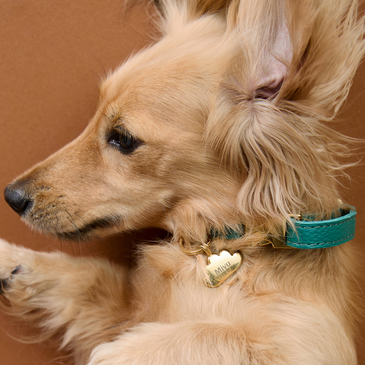 Pet Tags - Cloud Pet Tag in Gold - Merchandise - Astrid &amp; Miyu