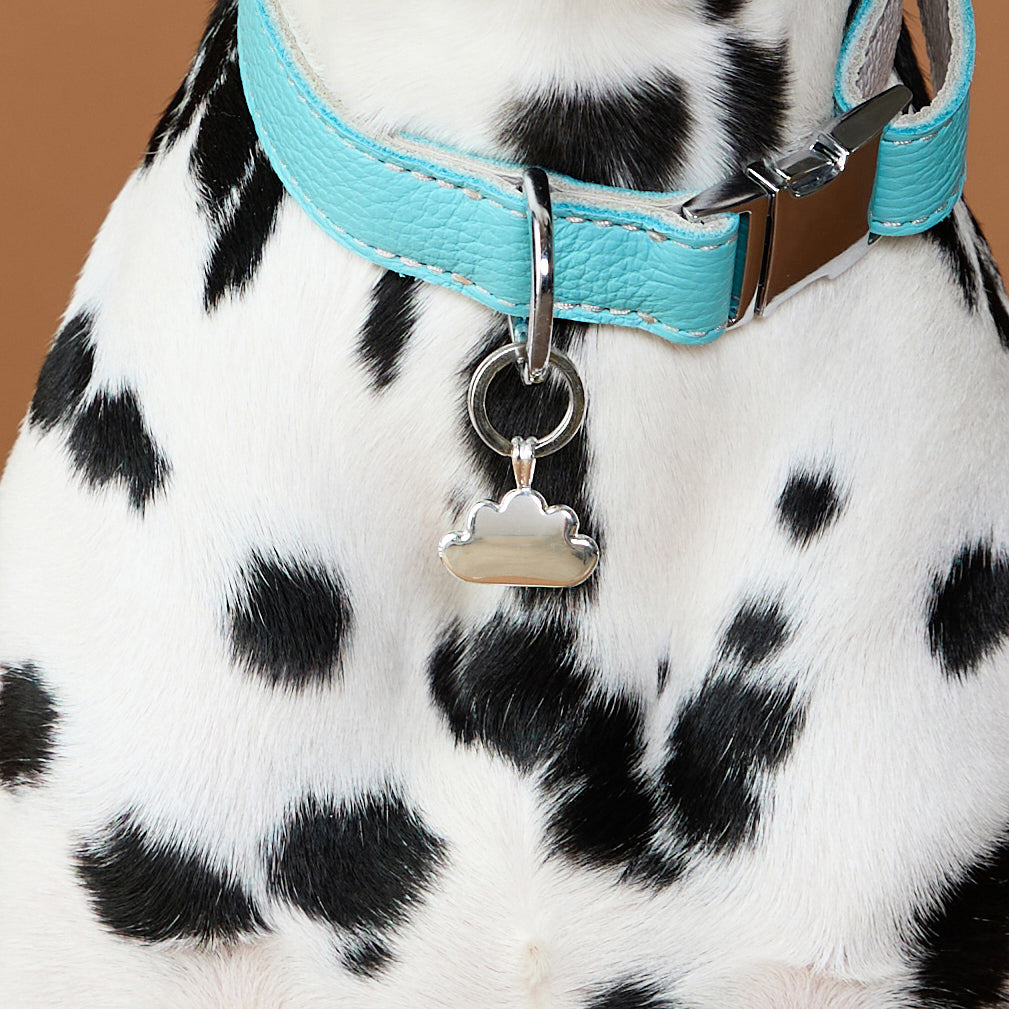 Pet Tags - Cloud Pet Tag in Silver - Merchandise - Astrid &amp; Miyu