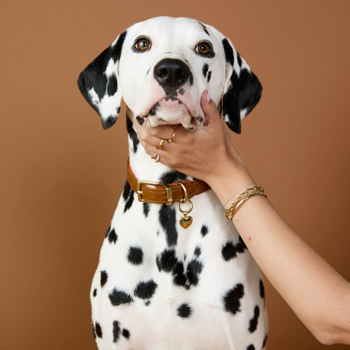 Pet Tags - Heart Pet Tag in Gold - Merchandise - Astrid &amp; Miyu