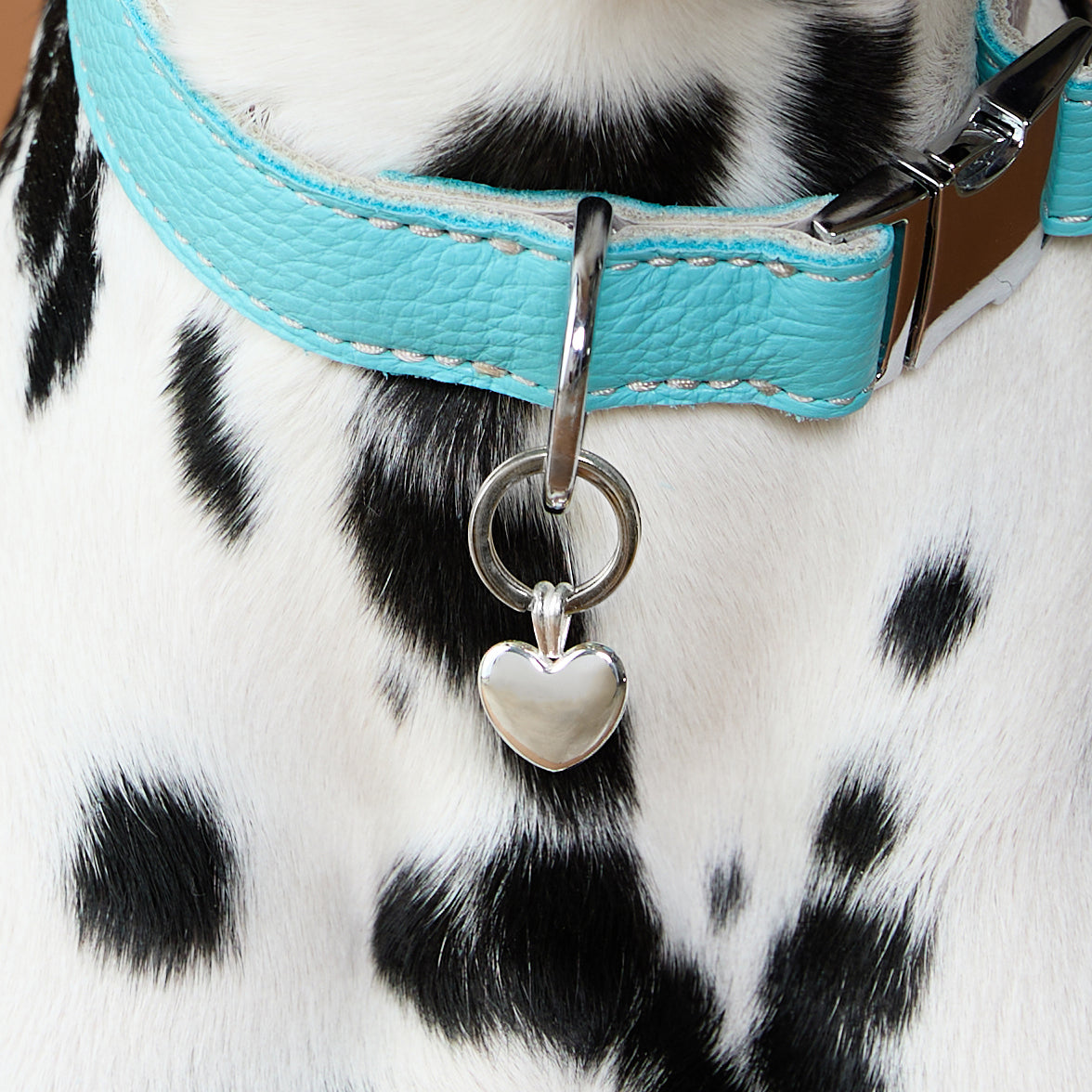 Pet Tags - Heart Pet Tag in Silver - Merchandise - Astrid &amp; Miyu