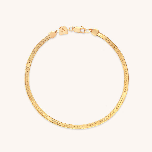 18k Gold Plated Jewellery - Essential Snake Chain Bracelet in Gold - Chain Bracelet - Astrid &amp; Miyu