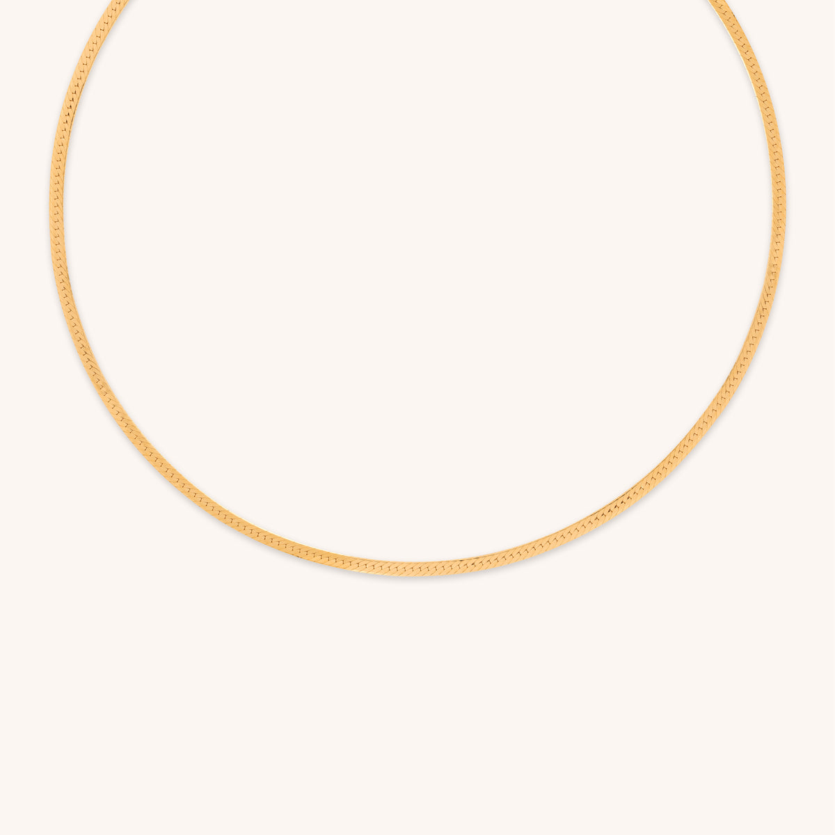 18k Gold Plated Jewellery - Essential Snake Chain Necklace in Gold - Chain Necklace - Astrid &amp; Miyu