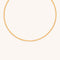 18k Gold Plated Jewellery - Essential Snake Chain Necklace in Gold - Chain Necklace - Astrid &amp; Miyu