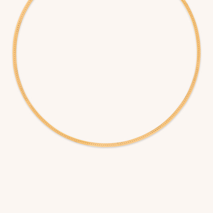 18k Gold Plated Jewellery - Essential Snake Chain Necklace in Gold - Chain Necklace - Astrid &amp; Miyu