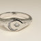 Cosmic Signet Ring in Silver-Astrid &amp; Miyu