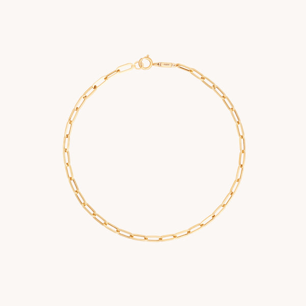 Piccadilly Chain Bracelet in Solid Gold-Astrid &amp; Miyu