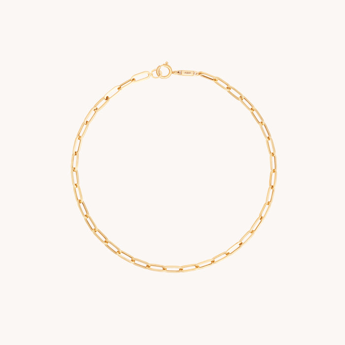 Piccadilly Chain Bracelet in Solid Gold-Astrid &amp; Miyu