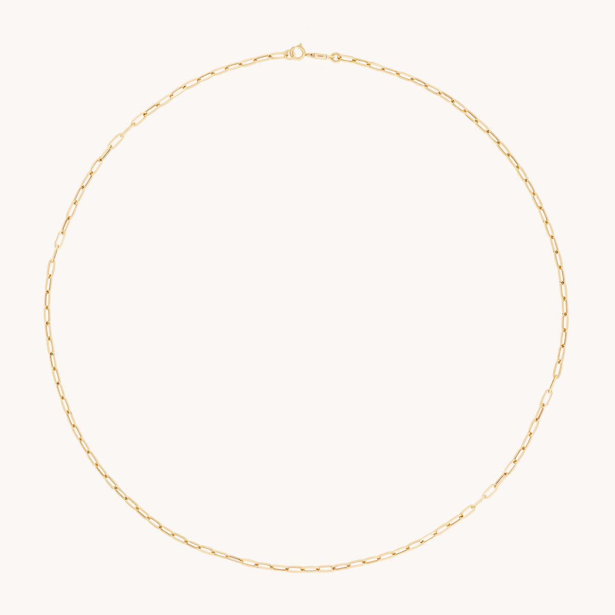 Piccadilly Chain Necklace in Solid Gold-Astrid &amp; Miyu
