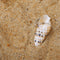 Topaz April Beaded Bracelet in Solid Gold-Astrid &amp; Miyu