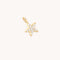 Pavé Star Charm 9k Gold-Astrid &amp; Miyu