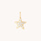 Pavé Star Charm 9k Gold-Astrid &amp; Miyu