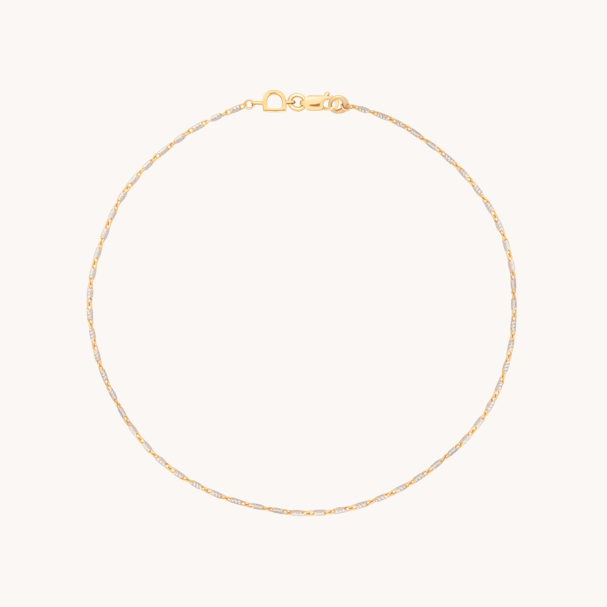 Carnaby Story Chain Anklet in Solid Gold-Astrid &amp; Miyu