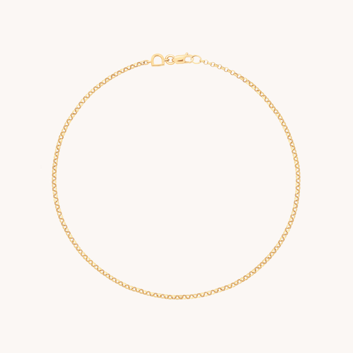 Chelsea Story Story Chain Anklet in Solid Gold-Astrid &amp; Miyu