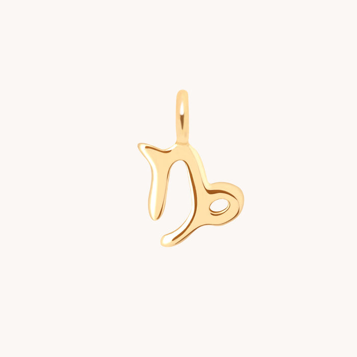 Capricorn Jewellery - Capricorn Zodiac Charm 9k Gold - Welding Charm - Astrid &amp; Miyu