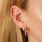 18k Rose Gold Plated Jewellery - Essential Crystal Large Hoops in Rose Gold - Hoop Earrings - Astrid &amp; Miyu