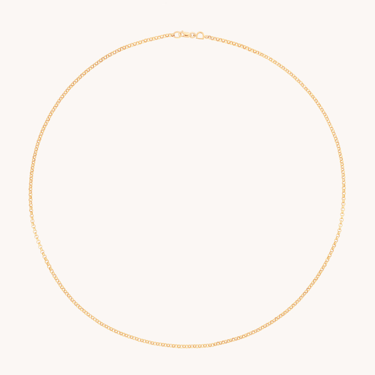 Chelsea Story Chain Necklace in Solid Gold-Astrid &amp; Miyu