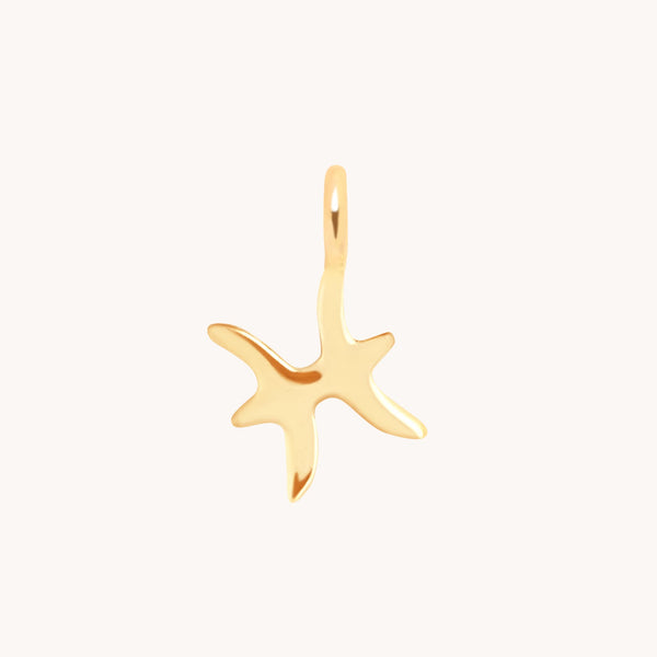 Pisces Jewellery - Pisces Zodiac Charm 9k Gold - Welding Charm - Astrid &amp; Miyu