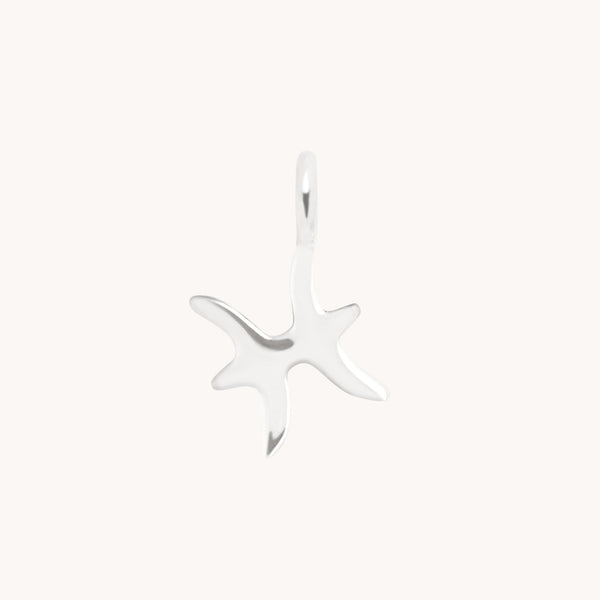 Pisces Jewellery - Pisces Zodiac Charm 9k White Gold - Welding Charm - Astrid &amp; Miyu