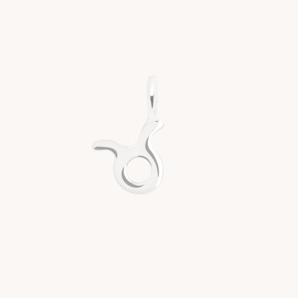 Taurus Zodiac Charm 9k White Gold - Welding Charm - Astrid &amp; Miyu