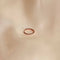 Flat lay shot of Jewelled Hoop 11.5mm in Rose Gold